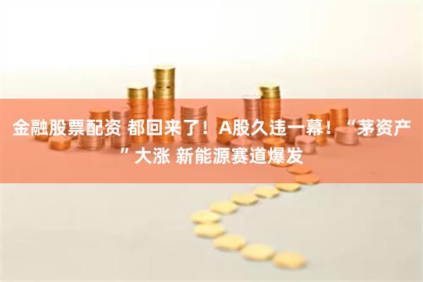 金融股票配资 都回来了！A股久违一幕！“茅资产”大涨 新能源赛道爆发